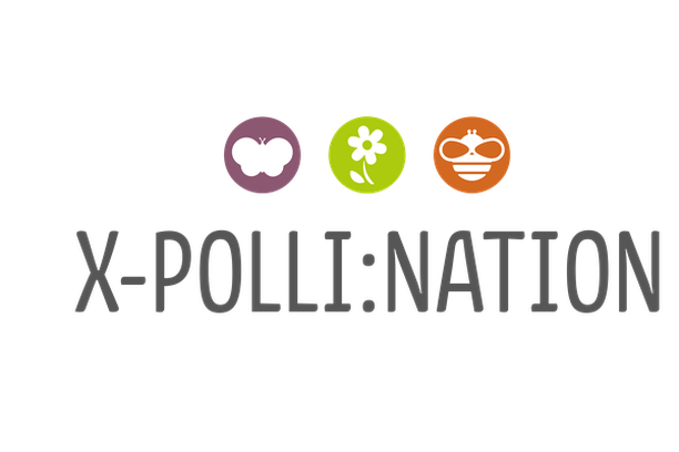 image for X-Polli:nation