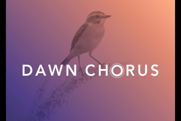 image for Dawn Chorus - Stop and listen!