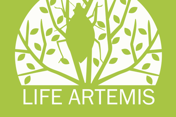 image for LIFE ARTEMIS