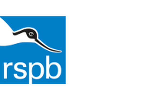 image for Big Garden Birdwatch