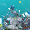 image for Citizen Science and Data Integration for Understanding Marine Litter