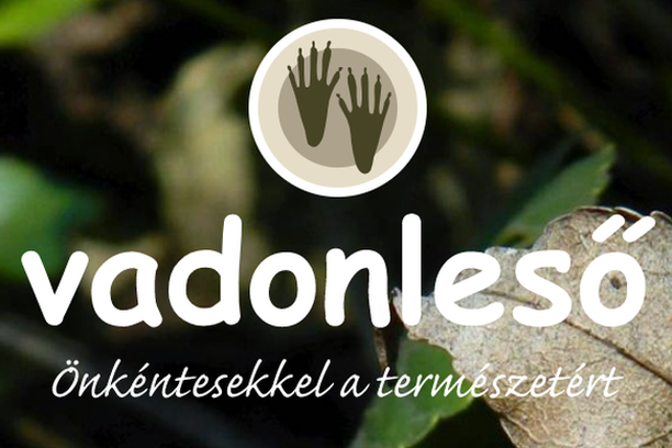 image for Vadonleső (The WildWatcher) 