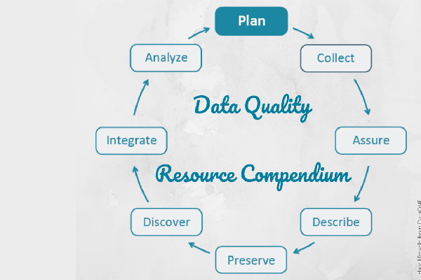 image for Data Quality Resource Compendium by the CSA Data and Metadata Working Group