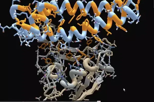 FoldIt:Quarantine Edition