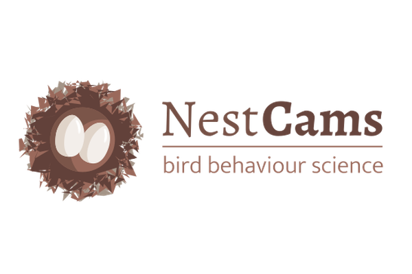 image for NestCams: Watch birds on their nests and help us find out more about their breeding behaviour!