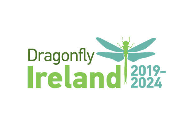 image for Dragonfly Ireland 2019 - 2024