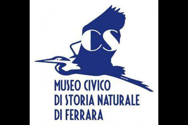 image for Raccolte del Museo Civico di Storia Naturale di Ferrara