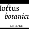 image for Hortus botanicus Leiden
