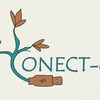 image for CONECT-e: Petra Benyei’s workshop on the citizen science innovation in agroecology