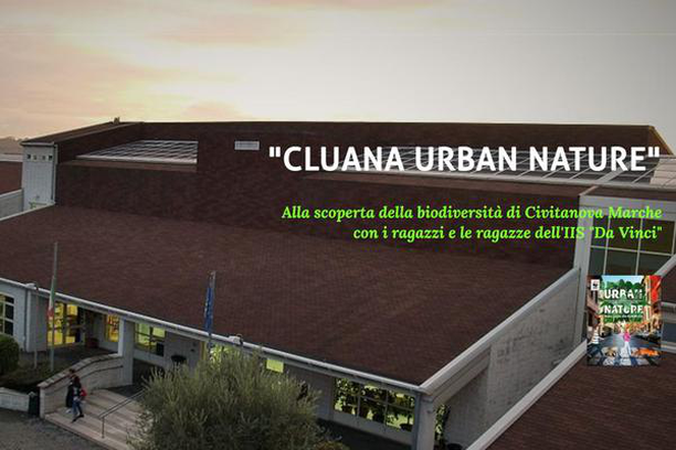 image for Cluana Urban Nature