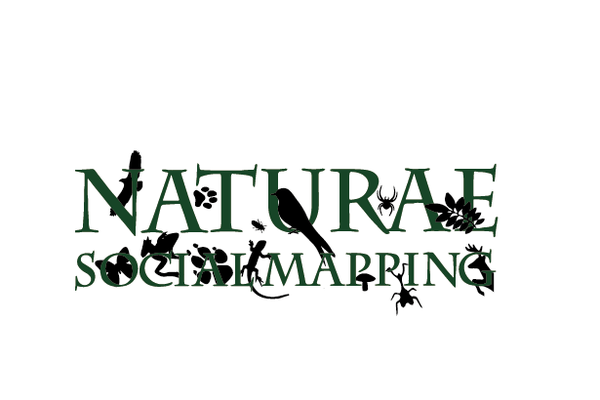 image for Naturæ Social Mapping