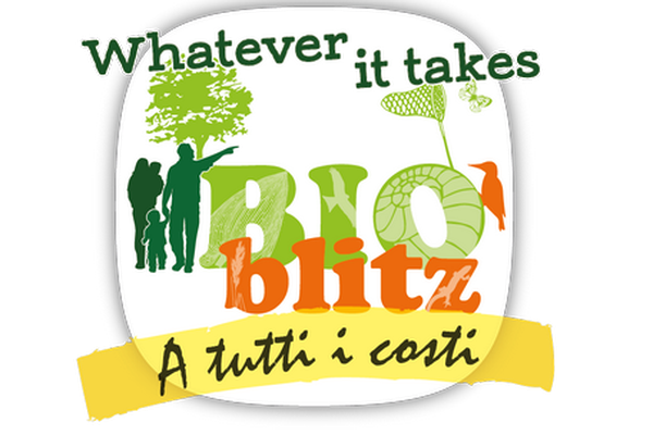 image for BioBlitz a tutti i costi