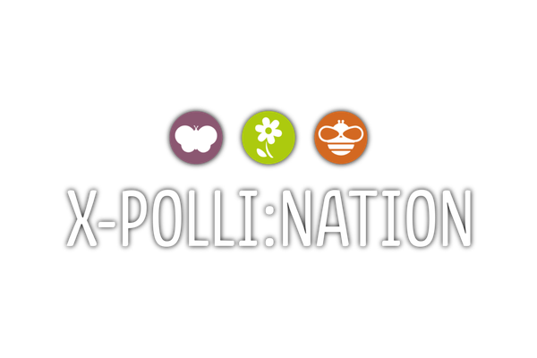 image for X-Polli:Nation IT