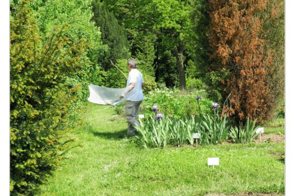 image for Objective 1000 @JardinMassart