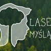 image for Lasem Myślący - Forest Minded