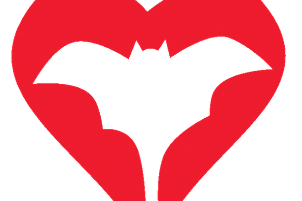 image for Bat Monitoring Programme