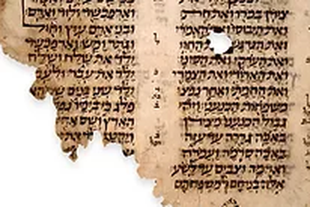 image for In the Wake of the Cairo Geniza