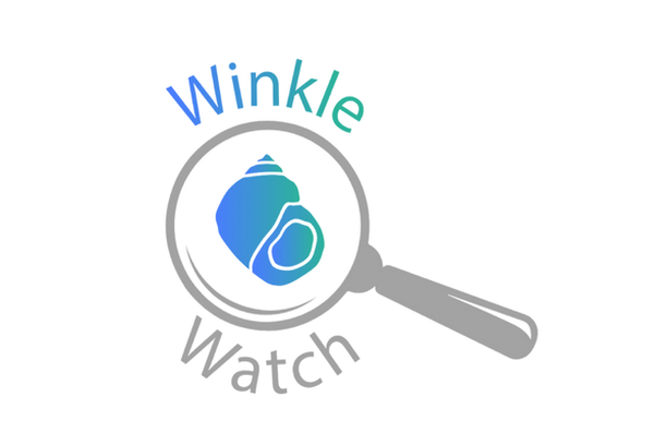 image for WinkleWatch