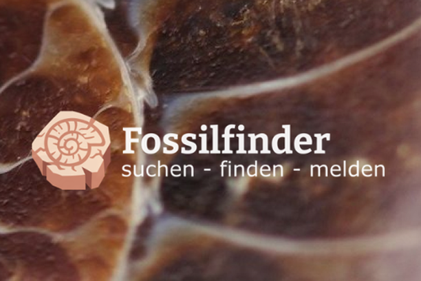 image for Fossilfinder