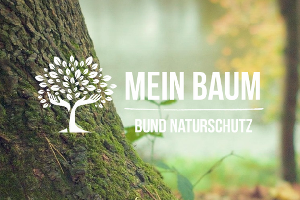 image for Mein Baum