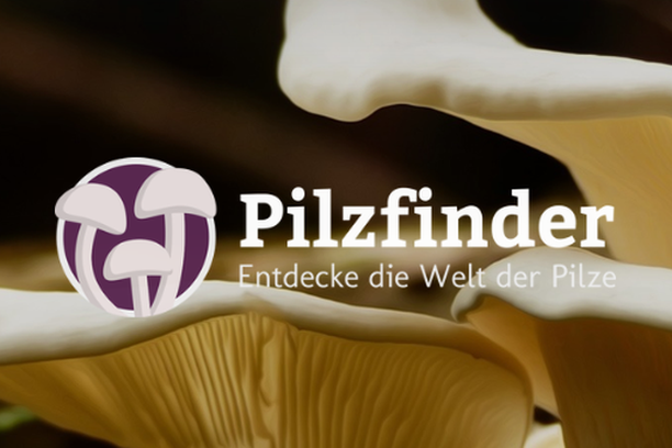 image for Pilzfinder
