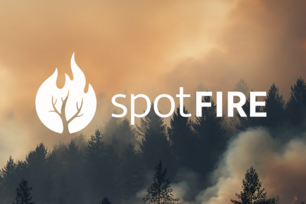 image for spotFIRE