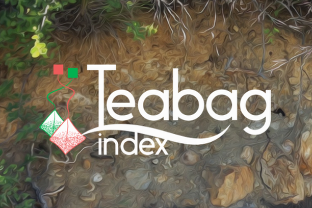 image for Tea Bag Index