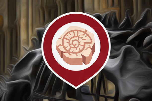 image for Fossilfinder