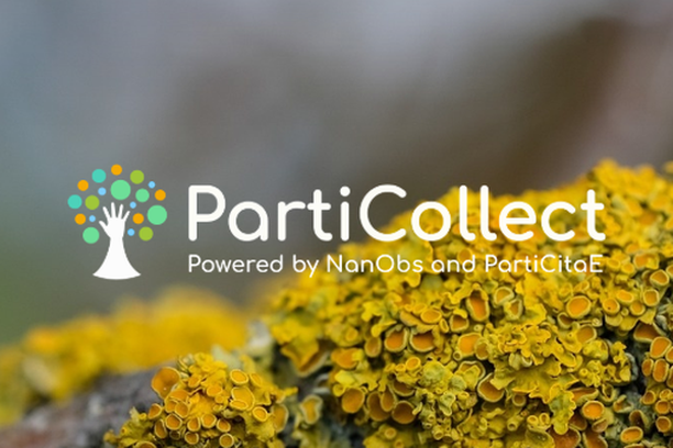 image for PartiCollect